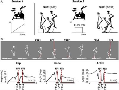 Kinematics but not kinetics alterations to single-leg drop jump movements following a subject-tailored fatiguing protocol suggest an increased risk of ACL injury